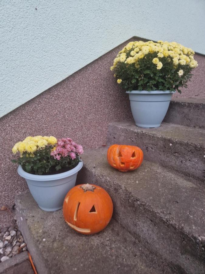 Ferienwohnung Am Gruenen Haus Garz  Buitenkant foto